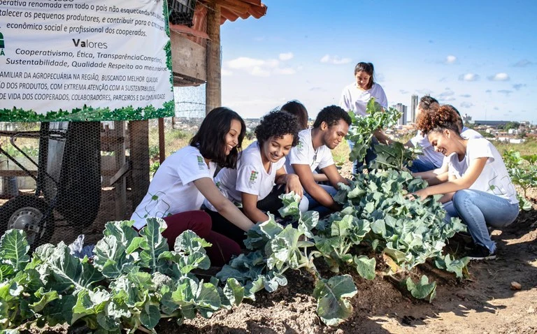 MEC inicia adesões ao Programa Educação para a Cidadania e Sustentabilidade e Redenec reforça apoio às redes de ensino